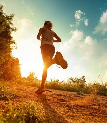 Костно-мышечная система